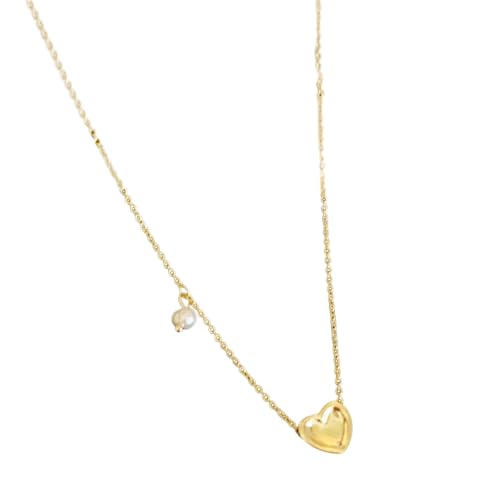 Fcnjsao Halskette mit Zirkon-Buchstaben und Perlen, Herz-Anhänger, hochwertige Halskette für Damen, elegant, anpassbar, verstellbar, Metall von Fcnjsao