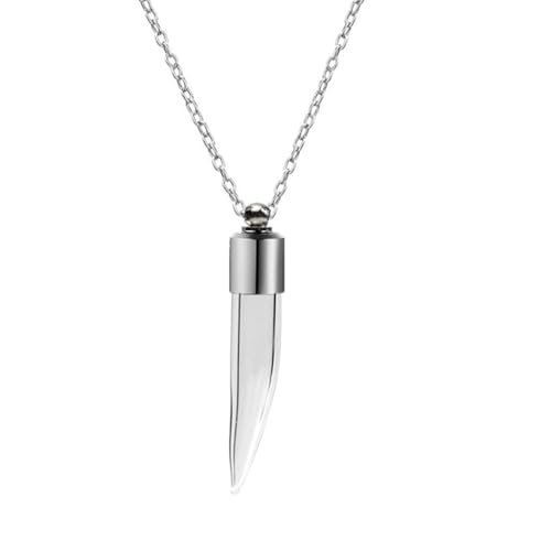 Fcnjsao Schöne Glasflaschen-Anhänger-Halskette, einfach zu öffnen und zu tragen, Anhänger Halskette für kleine Dekoration und Düfte, Glasflasche + Halskette aus Titanstahl von Fcnjsao