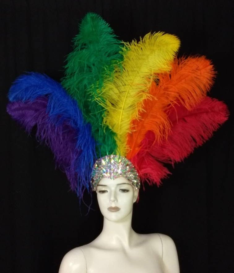 Prachtvolle Straußenfeder Feder Fasching Karneval Kopfschmuck Showgirl Regenbogen Pride von FeatherHappy