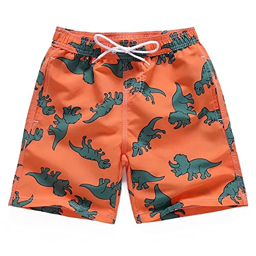 FedMois Jungen Badeshorts Schnelltrocknend Kinder Badehose Schwimmshorts, Dinosaurier, 5-6 Jahre (Gr. 116/122) von FedMois