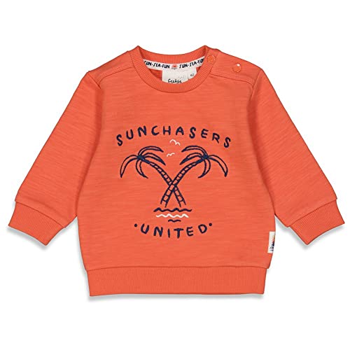 Feetje Baby-Jungen Sweater - Sun Chasers, Brique, 80 von Feetje