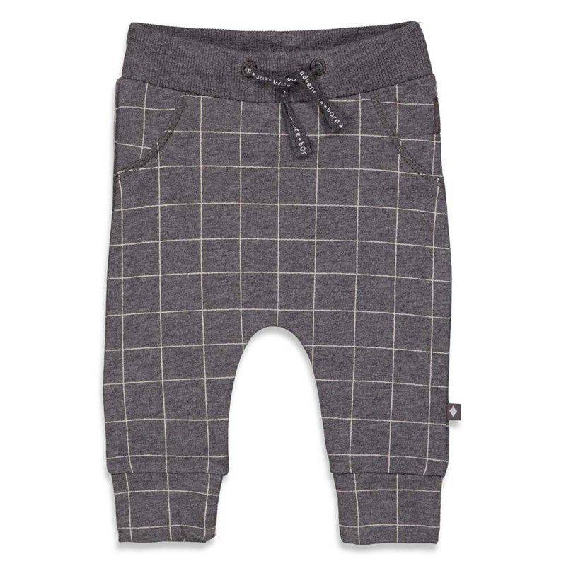 Feetje Griddly bear Karohose anthracite melange von Feetje
