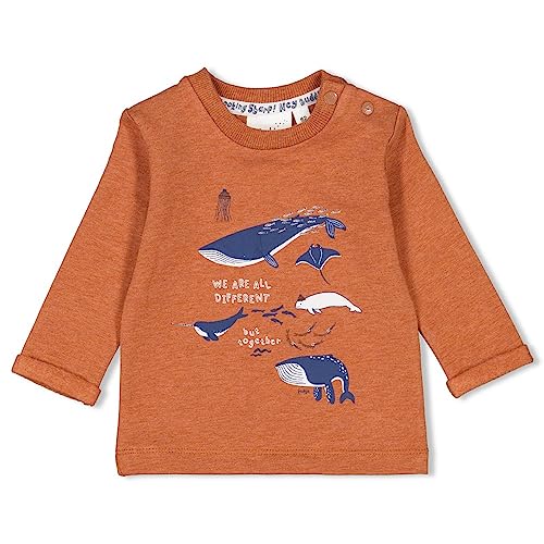 Feetje Jungen Baby-Longsleeve - Looking Sharp, Haselnuß Melange, 74 von Feetje