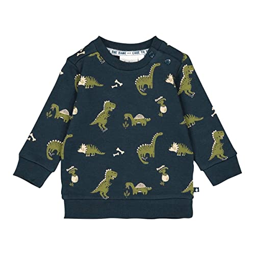 Feetje Jungen Sweat Shirt Longsleeve Dino 51601995 (80) von Feetje