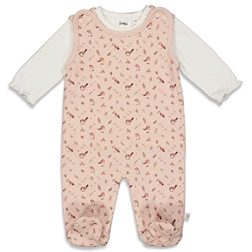 Feetje Mädchen Baby Stramplerset Strampler mit langarm Shirt 0192 in pink, Kleidergröße:44, Farbe:pink von Feetje