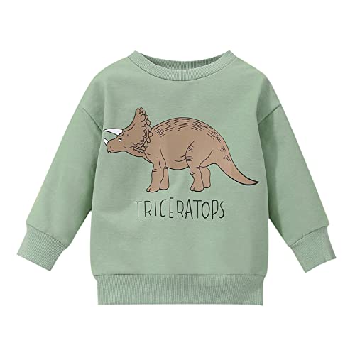 FeiliandaJJ Baby Jungen Mädchen Sweatshirt Dinosaurier Druck Langarm Rundhals Pullover 100% Baumwolle Herbst Winter Warme Casual Langarmshirt 0-4 Jahre von FeiliandaJJ