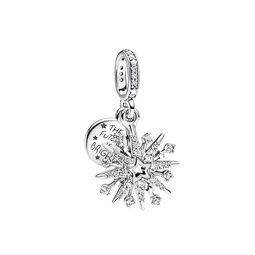 Feitery Compatible with Charms Pandora Armband Reisen Bead Funkelndes Feuerwerk Double Charms für Damen Herz Anhänger Meerestiere von Feitery