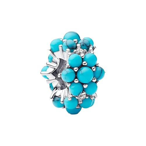 Feitery Kombination B Charm Compatible with Charms Pandora Armband Reisen Bead Charms für Damen Herz Anhänger Meerestiere von Feitery
