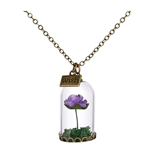 Feizikaw Halsketten FüR Frauen Rose Halskette Beauty Halskette Diy Glass Imitation Getrocknete Blumen Pullover Kette Long Style (Purple, One Size) von Feizikaw