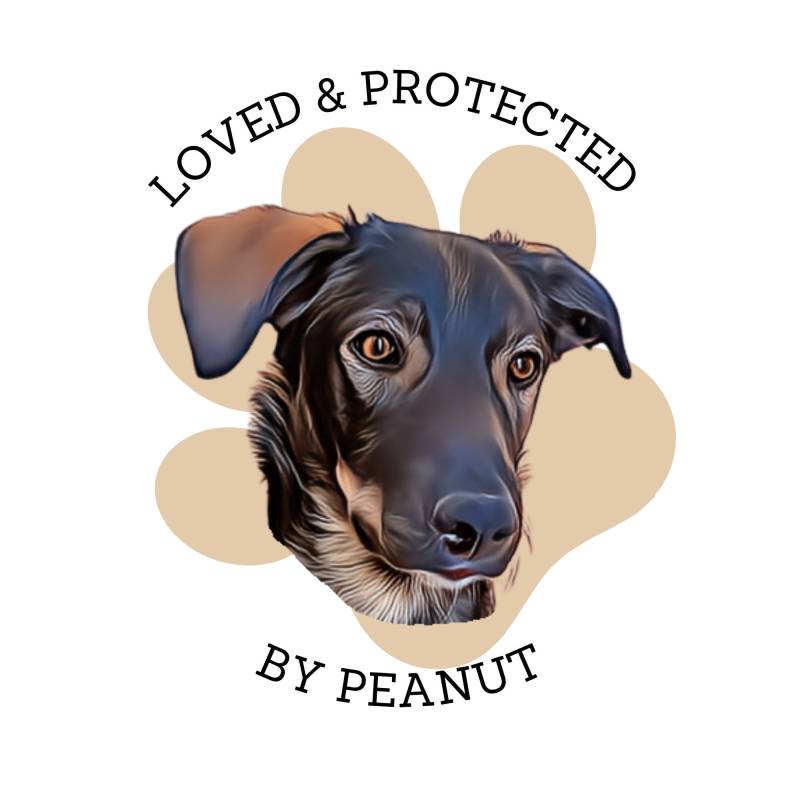 Individuell Geschenke, Haustier Bedruckte Artikel Mit Haustier, Geschenk Hundebild Individuell Geschenke, Haustier Bedruckte Artikel Mit Haustier, Geschenk Hundebild von FellnasenDesigns