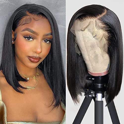 Fereowth 13x4 Lace Front Perücke Kurze Bob Echthaar Perücke Daman,10 Zoll Short Bob Wig for Woman 150% Dichte Gerade Perücken Schwarz (10Zoll,25cm) von Fereowth