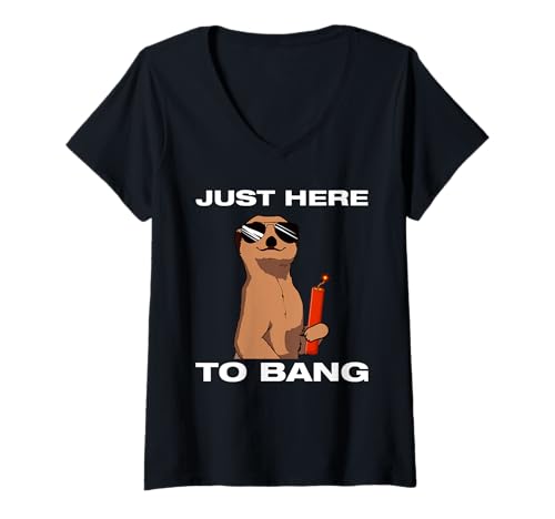 Damen Just here to bang Feuerwerk Pyrotechniker 4th of July T-Shirt mit V-Ausschnitt Damen Just here to bang Feuerwerk Pyrotechniker 4th of July T-Shirt mit V-Ausschnitt von Feuerwerk Böllern Sprüche & Pyrotechniker Outfit