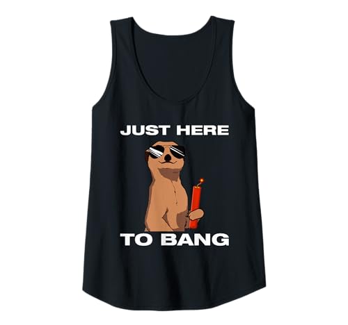 Damen Just here to bang Feuerwerk Pyrotechniker 4th of July Tank Top Damen Just here to bang Feuerwerk Pyrotechniker 4th of July Tank Top von Feuerwerk Böllern Sprüche & Pyrotechniker Outfit