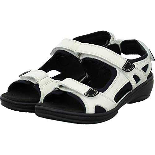 Fidelio Gini von Fidelio