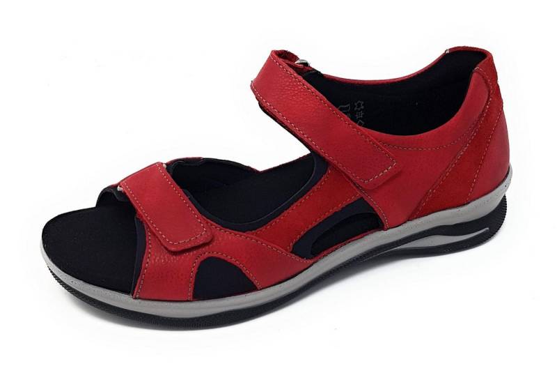Fidelio Komfort Sandalen für Damen Sandale (keine Angabe, 1-tlg., keine Angabe) von Fidelio