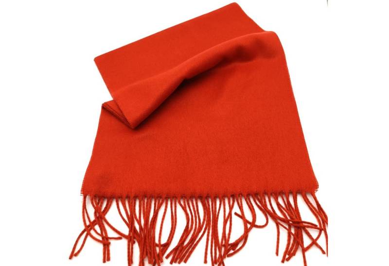 Fiebig Modeschal Cashminkschal 180x30 cm zimt von Fiebig