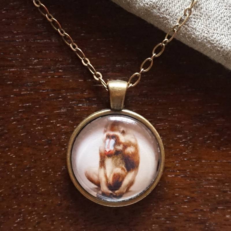 Affe-Illustration-1-Zoll-Glas Und Metall Halskette | Mandrill Affe-Illustration-1-Zoll-Glas Und Metall Halskette | Mandrill von FieldNoteStudio