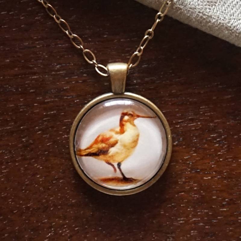 Vogel-Illustration-1-Zoll-Glas Und Metall Halskette | Phalarope Vogel-Illustration-1-Zoll-Glas Und Metall Halskette | Phalarope von FieldNoteStudio