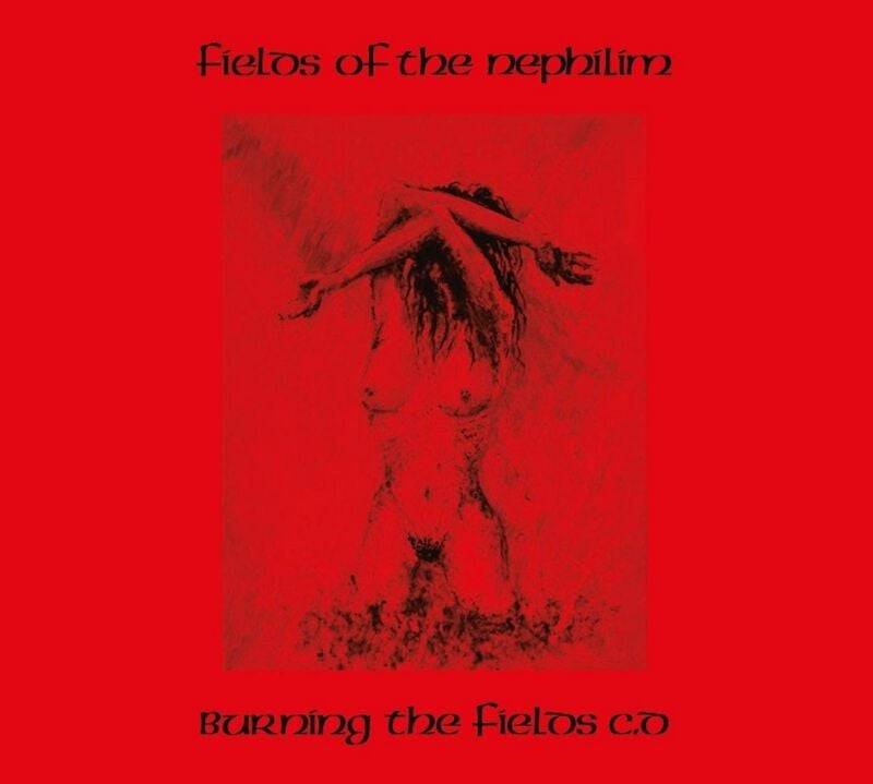 Fields Of The Nephilim Burning the fields CD multicolor von Fields Of The Nephilim