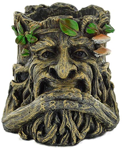 Fiesta Studios Pflanzschale Green Man Baumgeist Fiesta Studios Pflanzschale Green Man Baumgeist von Fiesta Studios