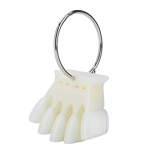 Nail Art Tips, 10pcs Nagel Sticks Display Nagellack Farbdisplay Karte Praxis Maniküre Polish Gel Vorlagen Zeige Werkzeug(Natürliche Farbe) von FILFEEL