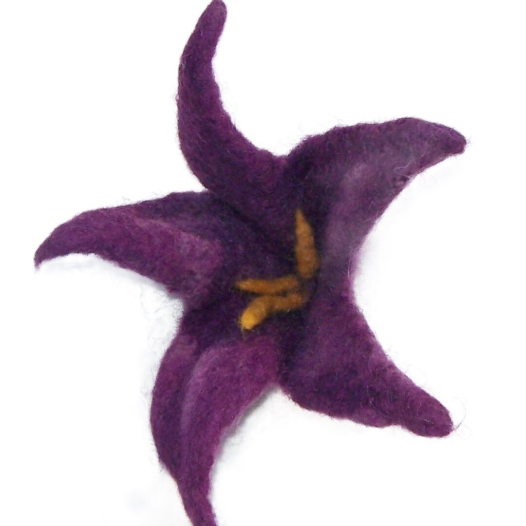 Üppige Blüte von Filzmobil