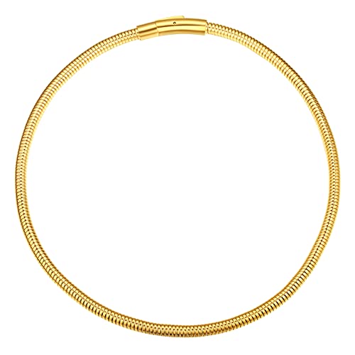 FindChic Schicht Stahl Halskette Choker Schlangenknochen Ketten Halskette für Frauen Tägliches Tragen Schmuck Kettelänge 45cm Gold von FindChic