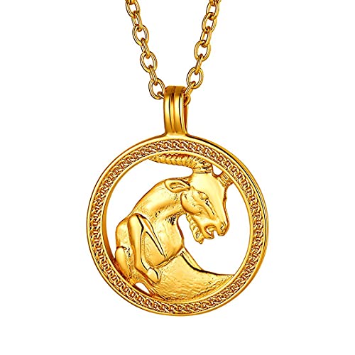 FindChic Sternzeichen Steinbock Anhänger Geprägter Rundeanhänger Geburtstaggeschenke Personalisierbare Halskette von FindChic