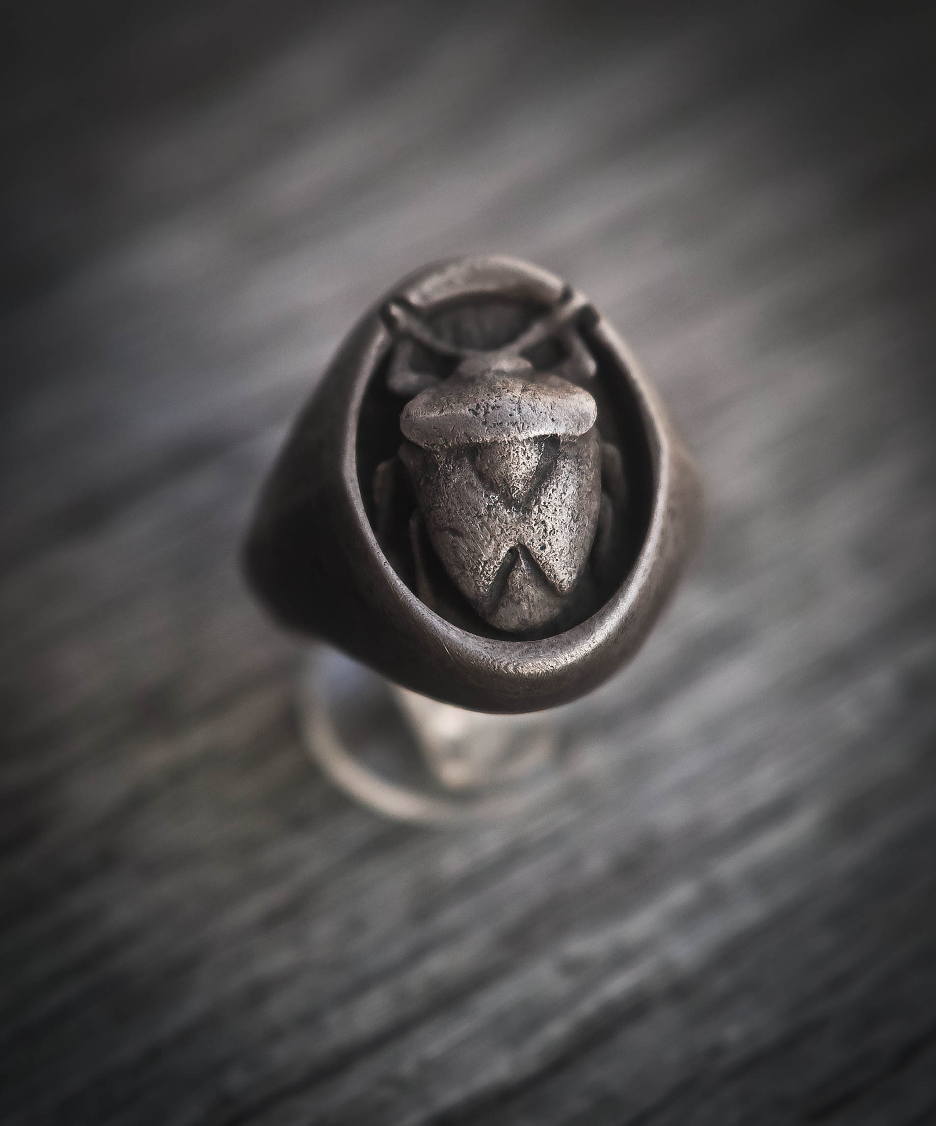 Oxidierter Silberring Und Käfer-Silber-sterlingring Nezara-Viridula-Käfer, Oxidierte Chevalier-Kollektion „Cheva" Oxidierter Silberring Und Käfer-Silber-sterlingring Nezara-Viridula-Käfer, Oxidierte Chevalier-Kollektion „Cheva" von FingersOverkill