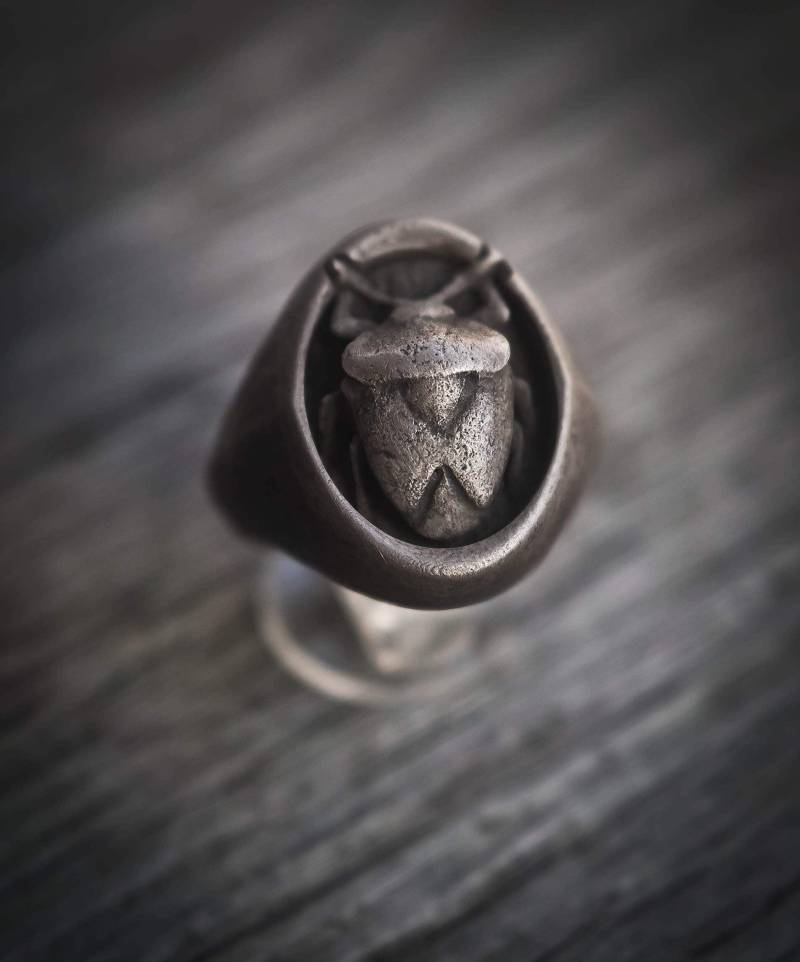 Oxidierter Silberring Und Käfer-Silber-sterlingring Nezara-Viridula-Käfer, Oxidierte Chevalier-Kollektion „Cheva" von FingersOverkill