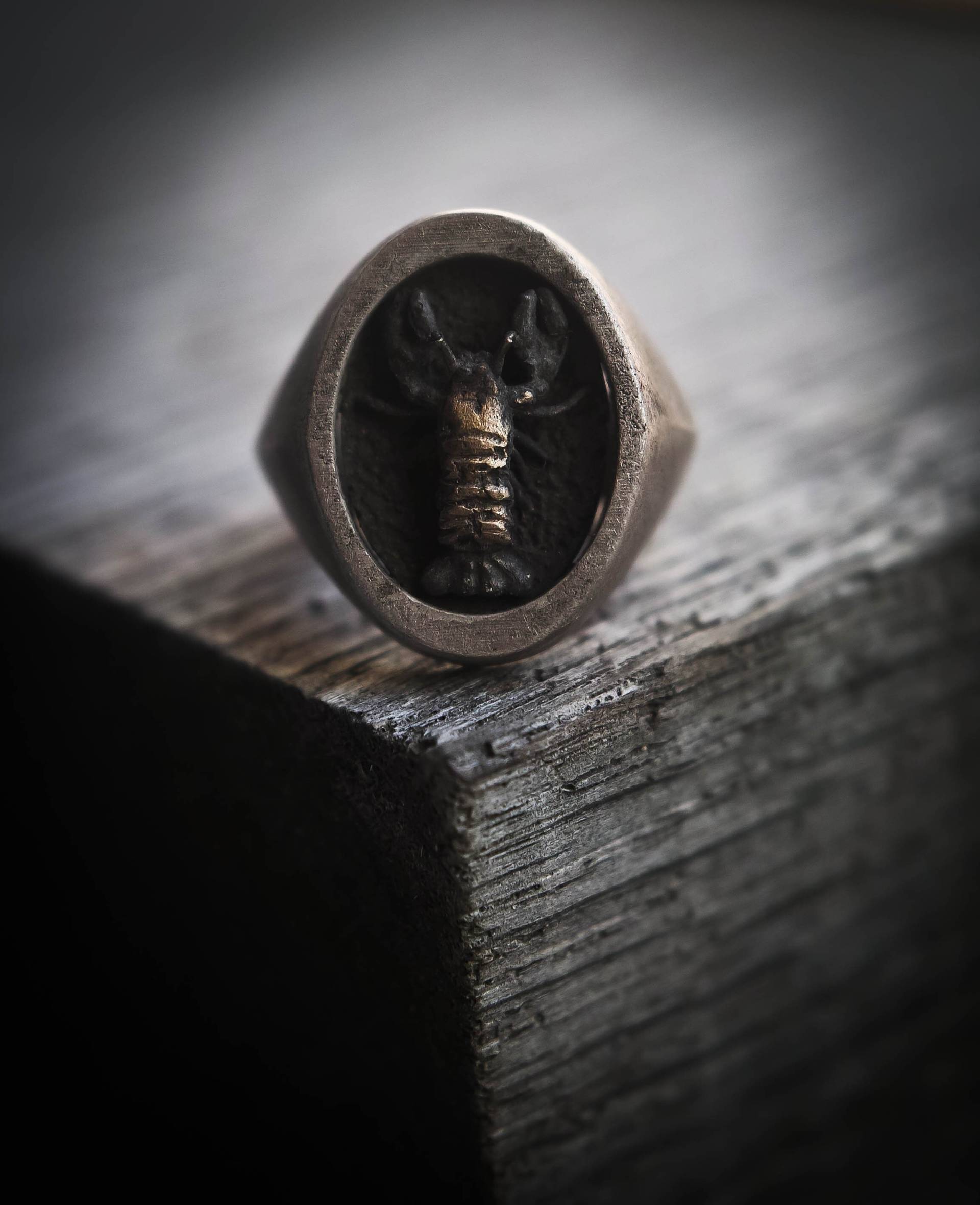 Ring Aus Oxidiertem Silber Und Hummer Messing, Sterlingsilber Chevalier-Kollektion „Cheva" Ring Aus Oxidiertem Silber Und Hummer Messing, Sterlingsilber Chevalier-Kollektion „Cheva" von FingersOverkill