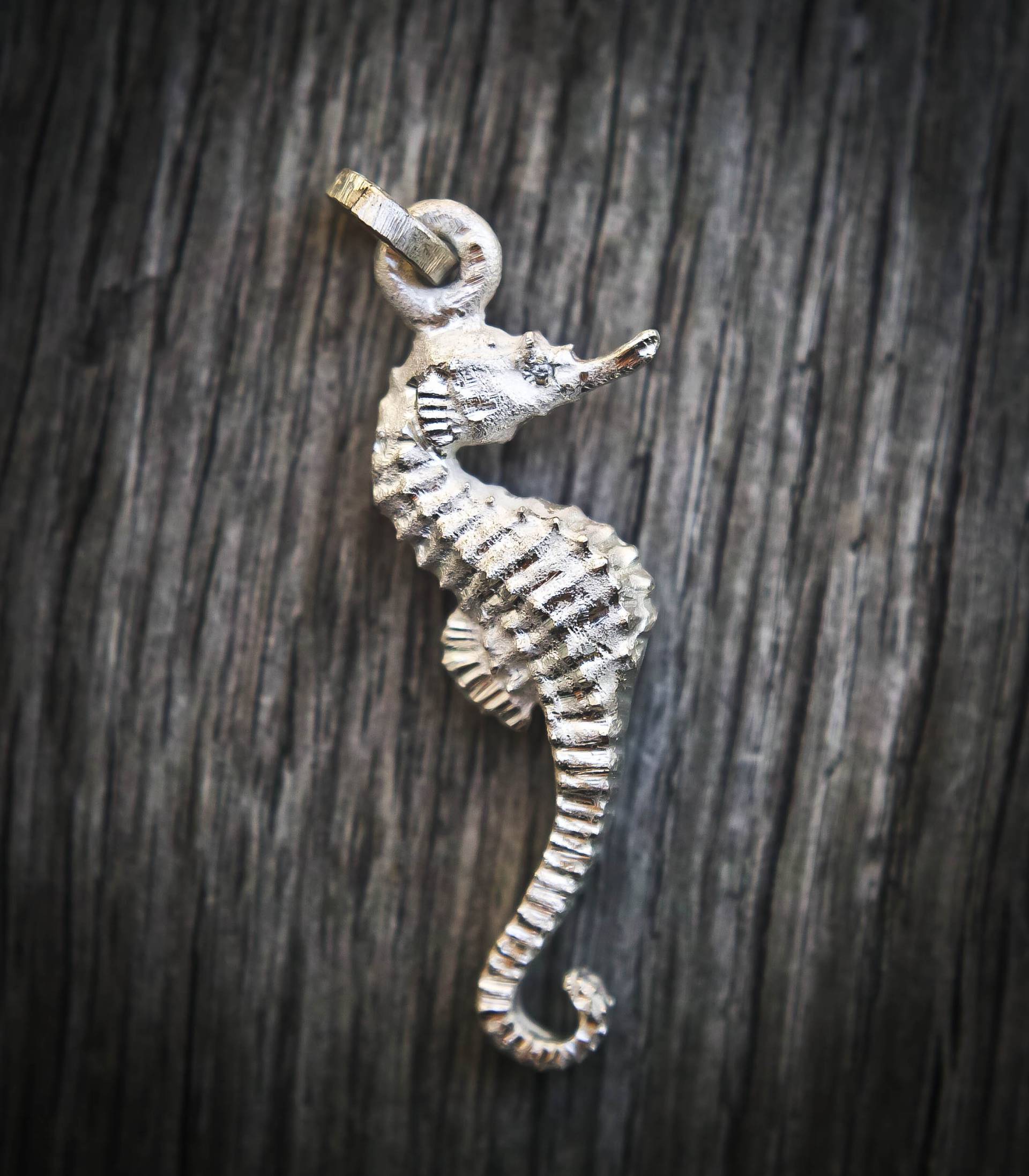 Seepferdchen-Anhänger, 39 Mm, 925Er Silber Und Diamant. Seepferdchen-Anhänger Aus Sterlingsilber Diamant Seepferdchen-Anhänger, 39 Mm, 925Er Silber Und Diamant. Seepferdchen-Anhänger Aus Sterlingsilber Diamant von FingersOverkill