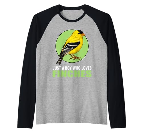 Herren Finken Fink Raglan Herren Finken Fink Raglan von Finken Fink Tier Shop