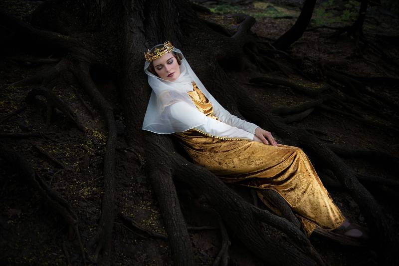 Mittelalterliches Goldenes Kleid, Gewand Aus Dem 14 Mittelalterliches Goldenes Kleid, Gewand Aus Dem 14 von FiorentinaCostuming