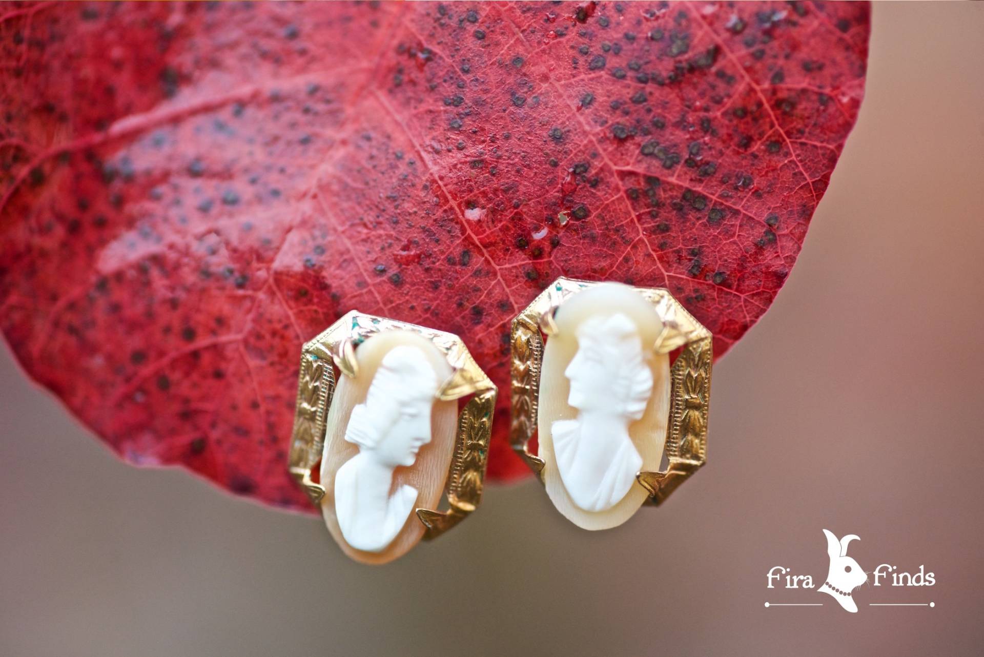 Vintage Messing Cameo Schraube Wieder Ohrringe Vintage Messing Cameo Schraube Wieder Ohrringe von FiraFinds