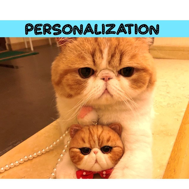 Katze Kitty Pet Personalisierte Schlüsselanhänger Auto Spiegel Charm Halskette Brosche Tasche Geldbörse Custom Made Personalisierung Geschenk von FitFrenchie