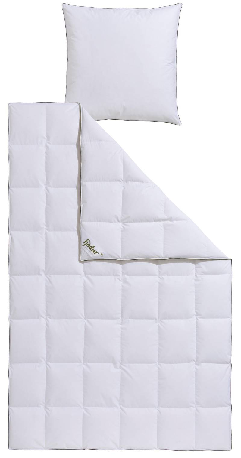 fjödur Gänsedaunenbettdecke + Kopfkissen "Franzisk, Bettwaren-Set, 135x200 oder 155x220 cm, Sommer oder Winter" Wohlfühlkomfort dank Naturfüllung von Fjödur