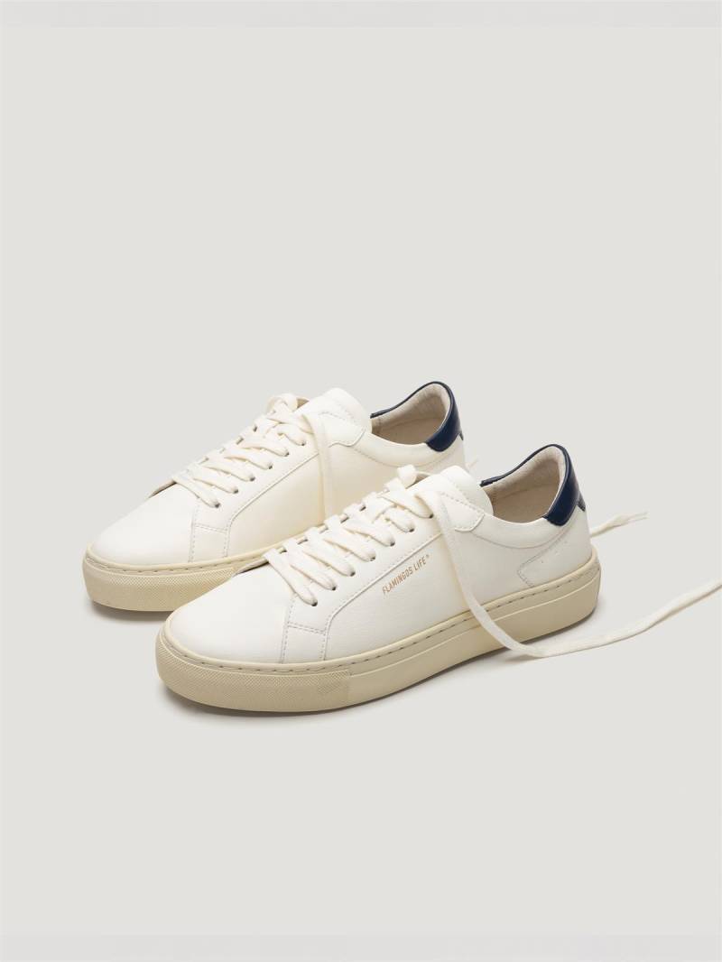 Sneaker Modell: Hampton Court von Flamingos Life