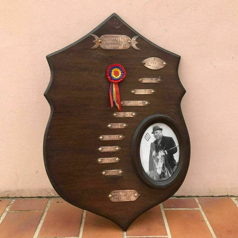 Ausgezeichnete Vintage Trophäe Eines Tauromaquia Camargue Frankreichs 1503201736 Ausgezeichnete Vintage Trophäe Eines Tauromaquia Camargue Frankreichs 1503201736 von Fleamarketfrance