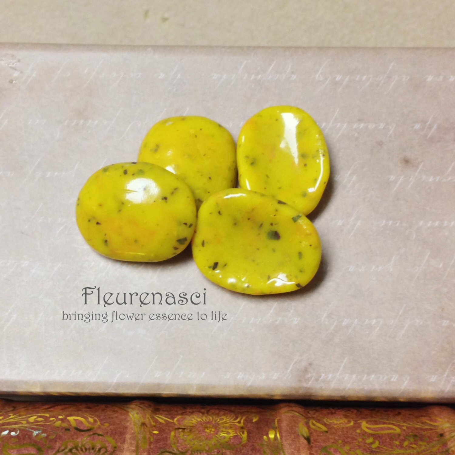 Blume Blütenblatt Feier Stein - Cs Sonderanfertigung von Fleurenasci