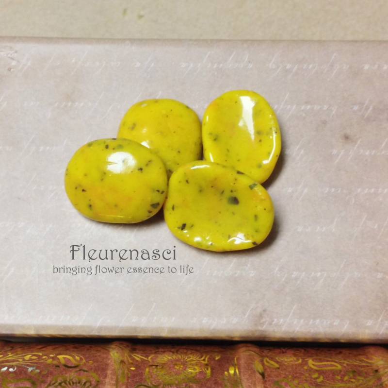 Blume Blütenblatt Feier Stein - Cs Sonderanfertigung von Fleurenasci