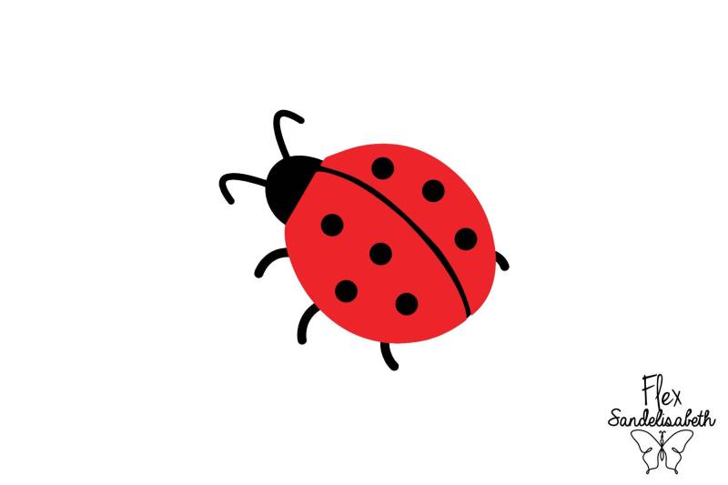 Lucky Ladybug Applizierte Flex-Bügelmaße Ihrer Wahl Lucky Ladybug Applizierte Flex-Bügelmaße Ihrer Wahl von Flexsandelisabethpro