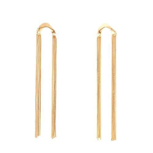 Flgtby Lange Quasten-Ohrringe für Damen, Zinklegierung, Modeschmuck, goldene formelle Ohrringe, Abschlussball, Party, leichte Abendkleidung für Frauen Flgtby Lange Quasten-Ohrringe für Damen, Zinklegierung, Modeschmuck, goldene formelle Ohrringe, Abschlussball, Party, leichte Abendkleidung für Frauen von Flgtby