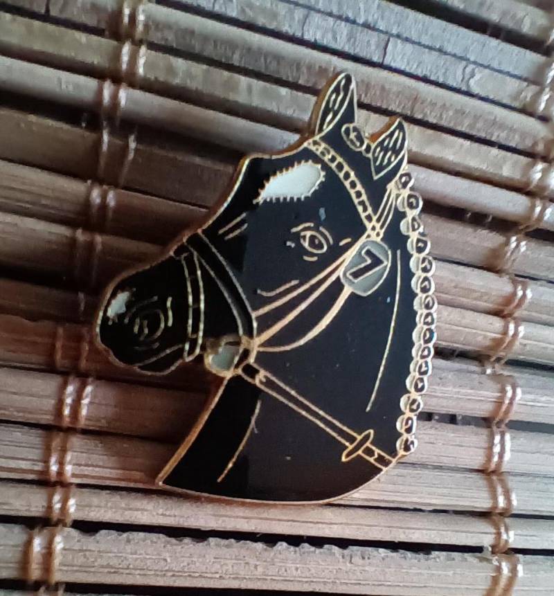Lapel Pin Anstecknadel Pferdekopf Nummer 7 Rennpferd Turnierpferd Rappe Sammler Pferd Reiten von FlohmiOmi