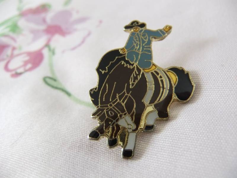 Pin Rodeo Reiter Texas Usa Sport Western Sammler Pin Rodeo Reiter Texas Usa Sport Western Sammler von FlohmiOmi