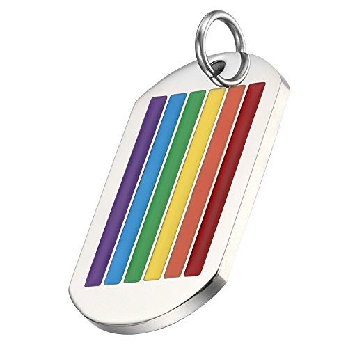 Flongo Pride LGBT Anhänger Halskette Schlüsselanhänger, Edelstahl Silber Mehrfarbig Bunt Streifen Regenbogen Rainbow LGBT Lesbe Gay Pride Schwul Homosexuell Dog Tag Herren, Damen, mit 55cm Kette von Flongo