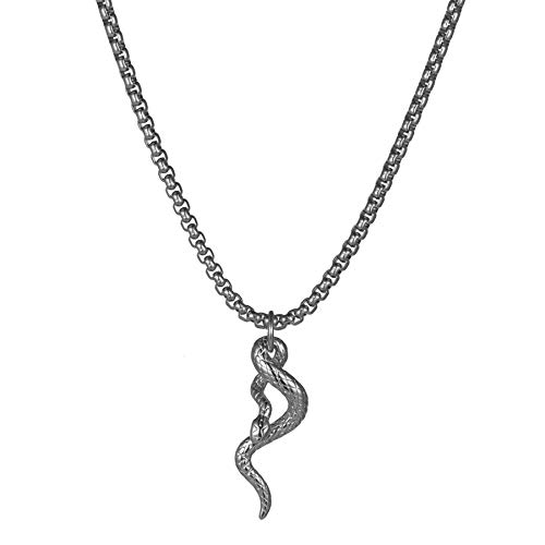 Flongo Herren-Kette Männer Anhänger Halskette aus Edelstahl Halskette Kette Silber Schlangen Gotik Biker Herren-Accessoires von Flongo