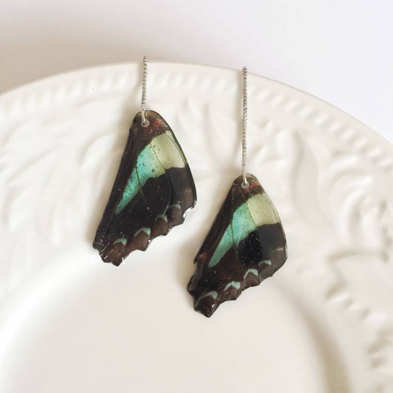 Echte Graphium Sarpedon Schmetterlingsflügel Ohrringe Harz Boho Schmuck von FloraStudio2014