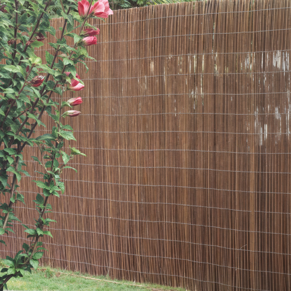 Weidenmatte Sichtschutzmatte Weidenzaun Weide Windschutz Balkon 40 - 180 x 300cm Weidenmatte Sichtschutzmatte Weidenzaun Weide Windschutz Balkon 40 - 180 x 300cm von Floraworld