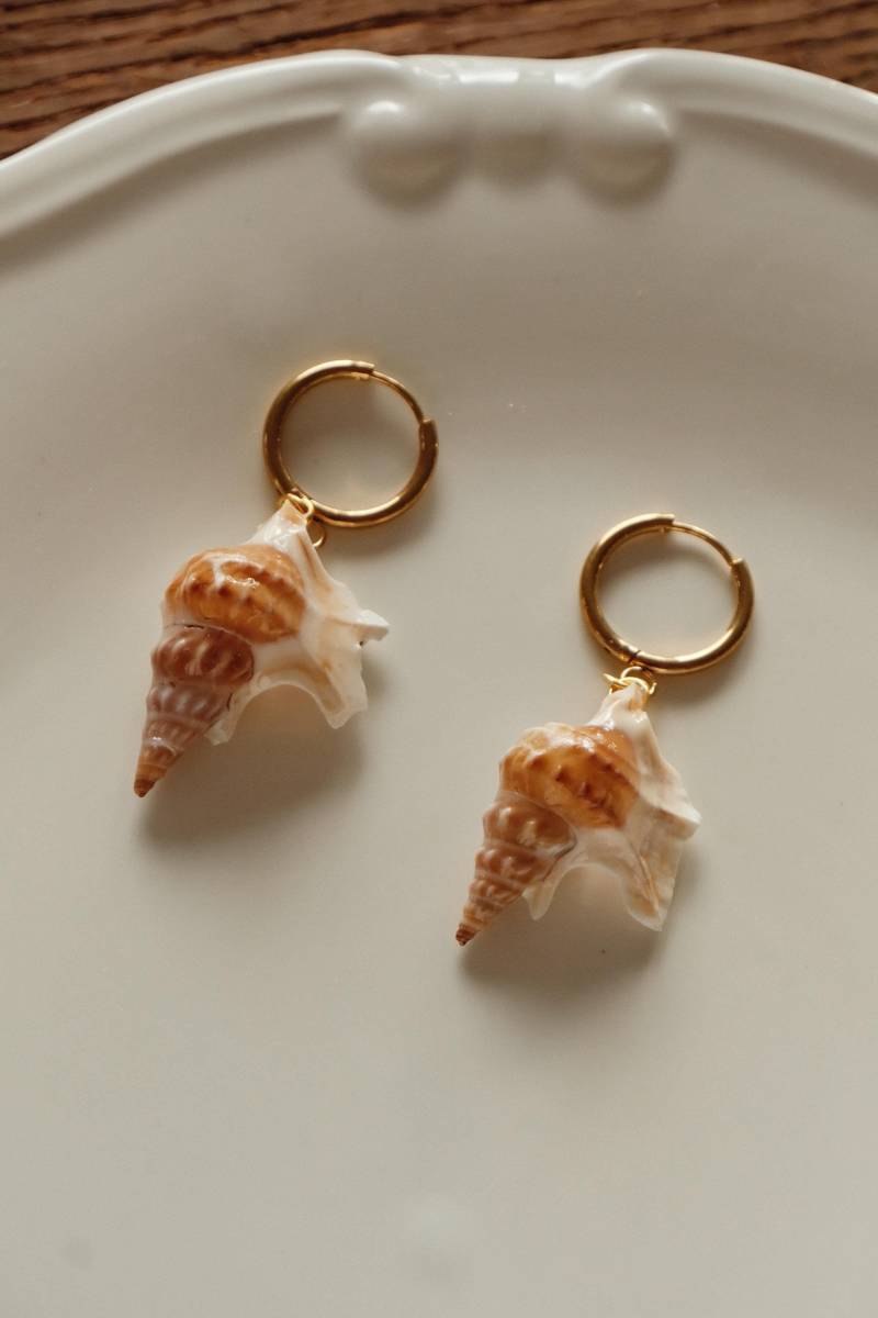 Natural Shell Earrings From Germany | Real Sea Snail Handmade Ocean Jewelry Beach Gift Summer Holiday Florifycreat Natural Shell Earrings From Germany | Real Sea Snail Handmade Ocean Jewelry Beach Gift Summer Holiday Florifycreat von FlorifyCreations